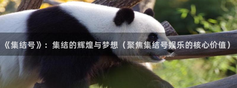 bb电子官网平台