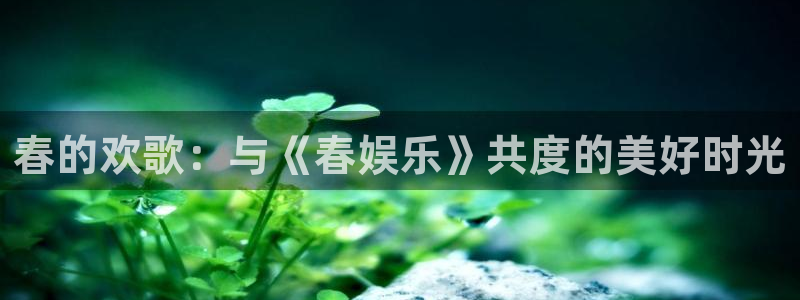 bb电子哪个游戏好赢钱